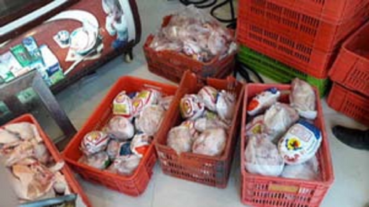 یک هزار تن مرغ منجمد در بازار لرستان توزیع می‌شود