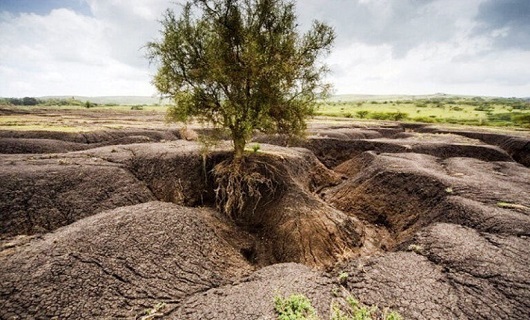 فرسایش خاک، مرگ خاموش خاک / متوسط فرسایش آبی سالانه در استان همدان ۱۰ تا۲۰ تن در هکتار است