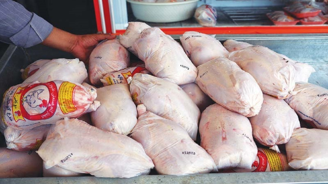 قیمت مرغ در کردستان کاهش پیدا می کند