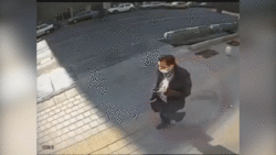 تصادف شدید خودروی تسلا با شتر + فیلم