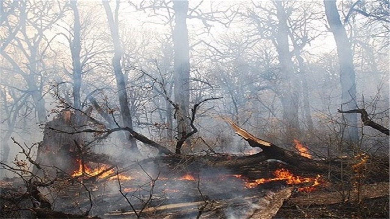 وزش باد گرم و هشدار آتش سوزی در مراتع و جنگل‌های گیلان
