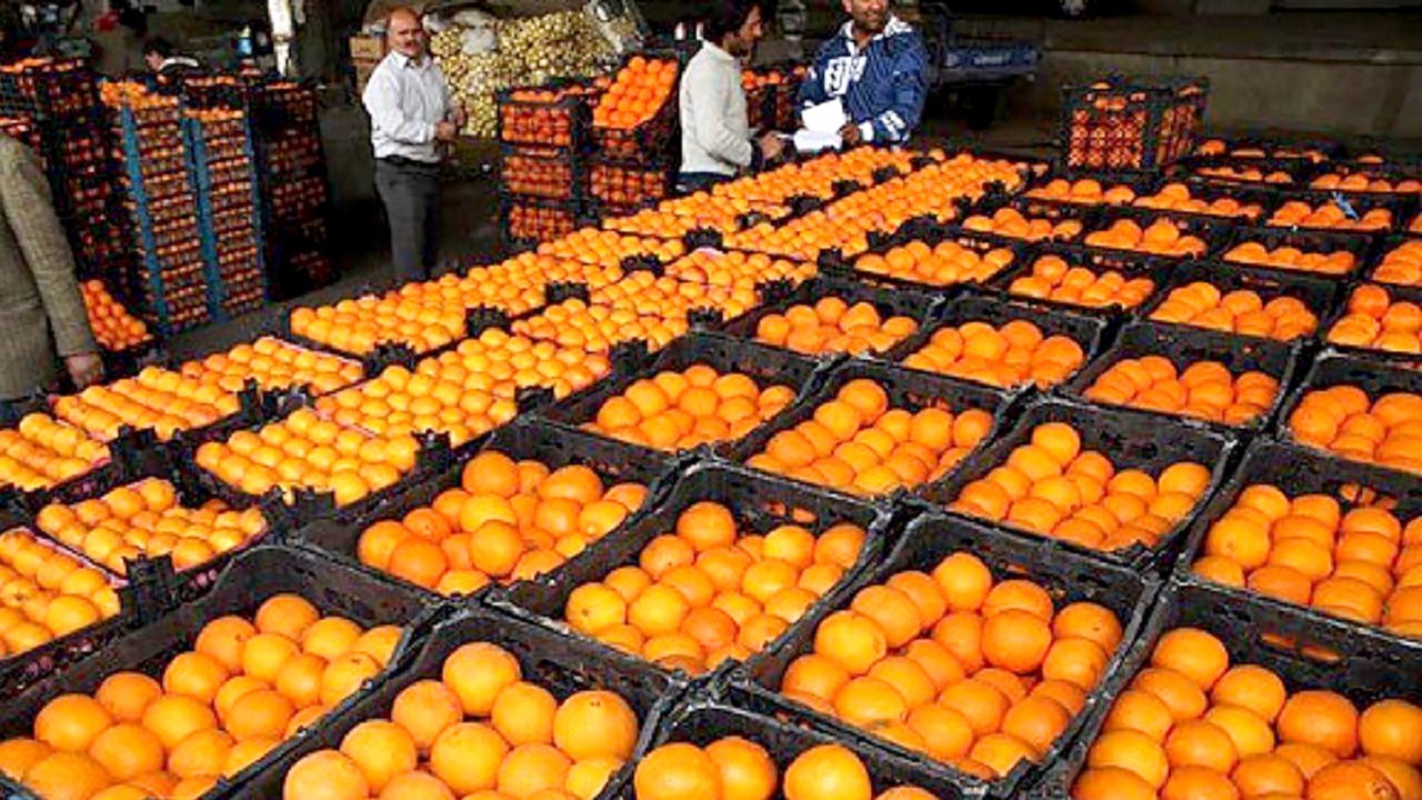 برپایی ۲۴۴ مرکز عرضه میوه تنظیم بازار در آذربایجان غربی