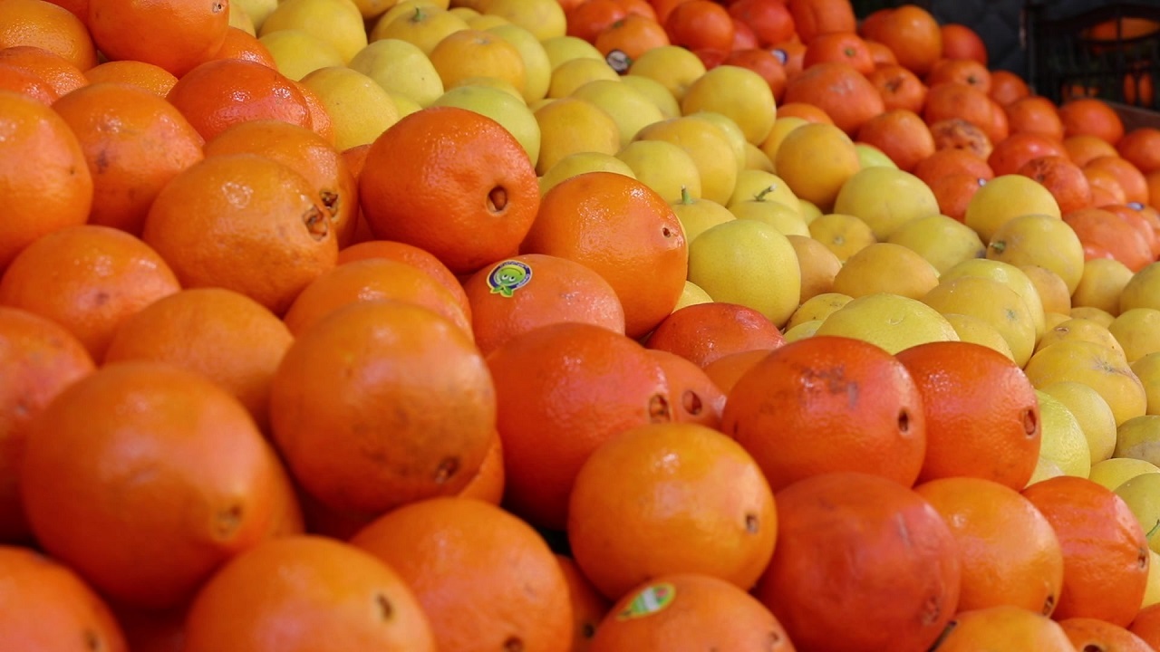توزیع ۵۶۰ تن میوه شب عید در آذربایجان غربی