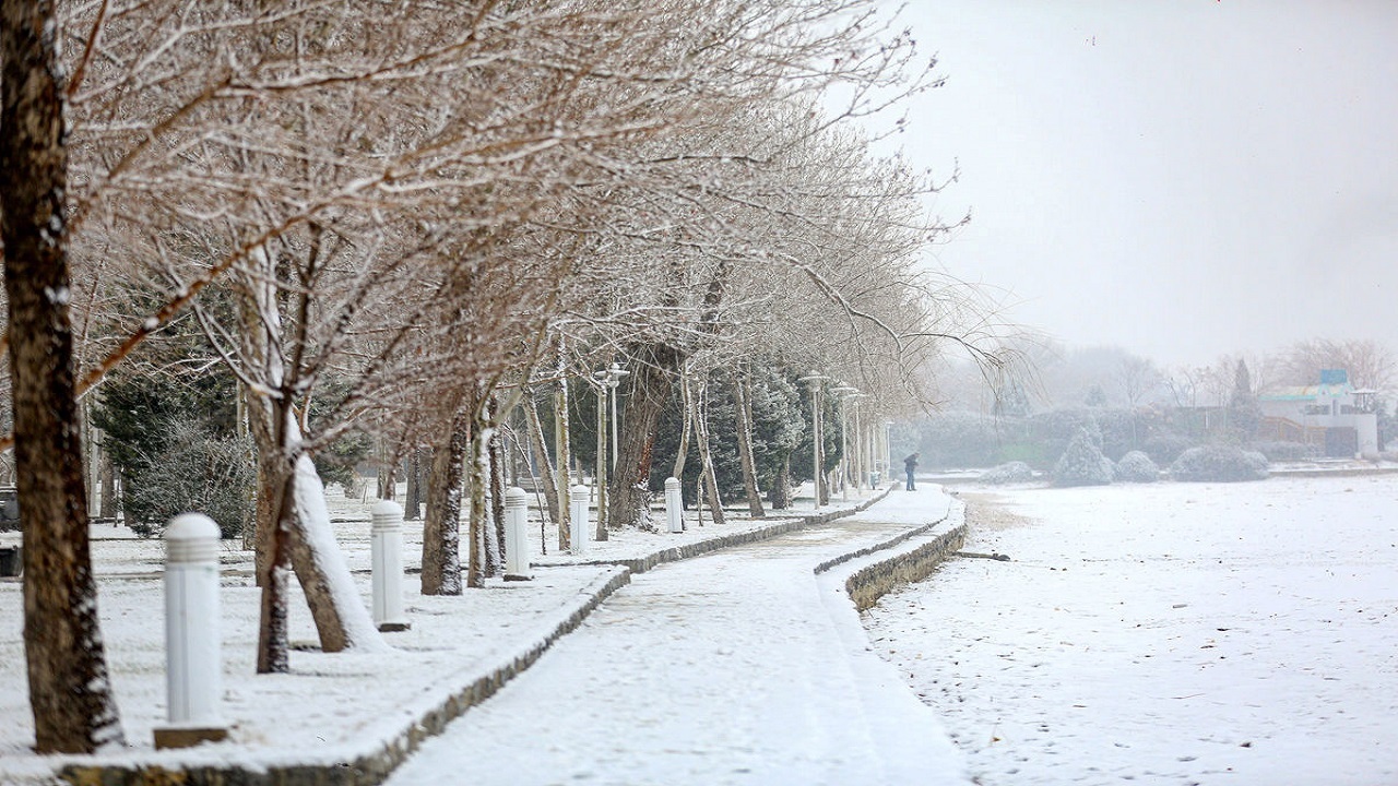 خودنمایی فصل زمستان با بارش برف در اهر + فیلم
