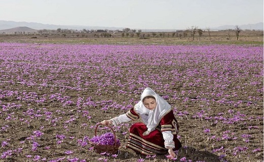 گردشگری کشاورزی در خراسان‌شمالی؛ اندیشه‌ای نو برای درآمدی پایدار
