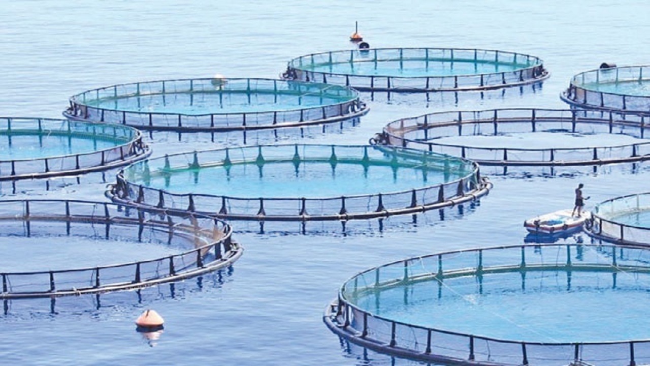 تولید سالانه یک هزار تن انواع ماهی از مزارع پرورش ماهی سرپل ذهاب