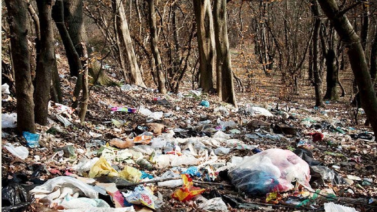گلایه گردشگران از انباشت زباله در بوستان فروزان + فیلم