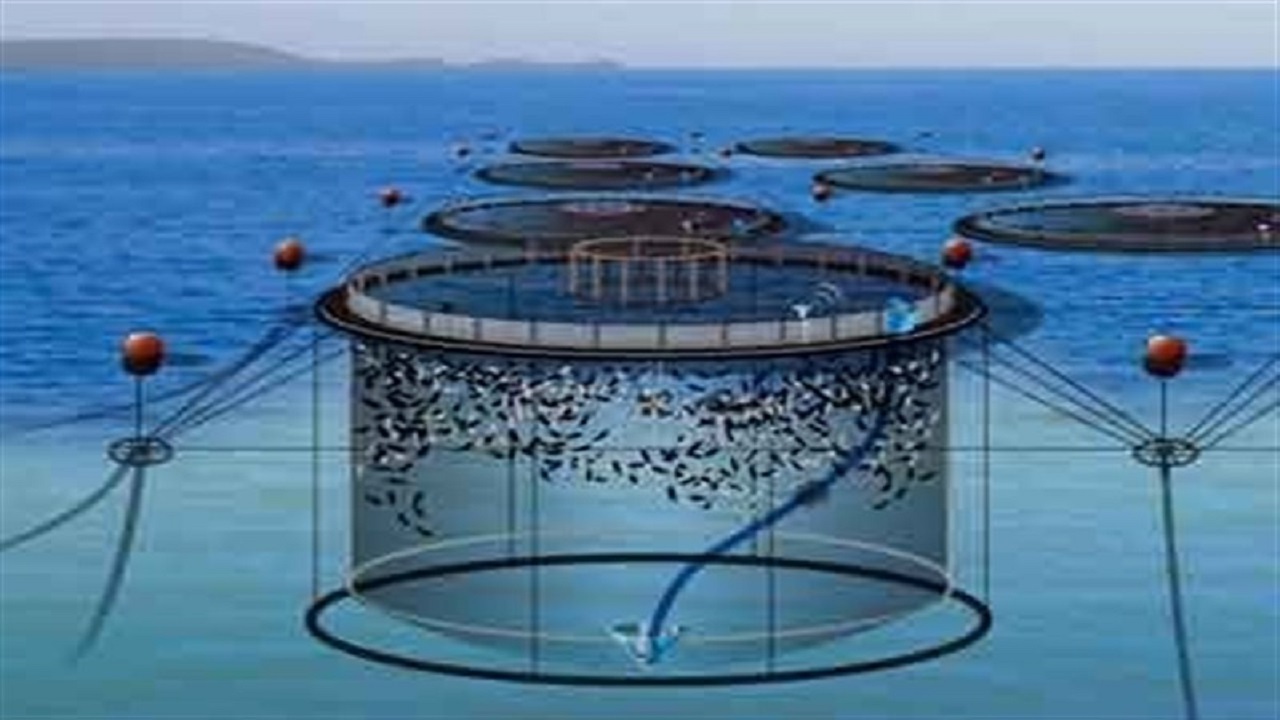 پرورش ماهی در عمق ۸۰ متری دریای خزر