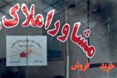 باشگاه خبرنگاران -قیمت آپارتمان های زیر ۱۰۰ متر در بلوار کشاورز تهران