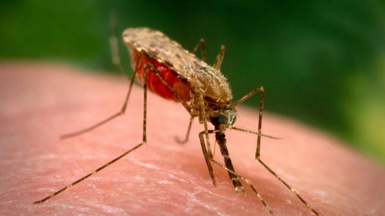 ۱۱۰ نفر از اتباع خارجی مبتلا به مالاریا شناسایی شده اند