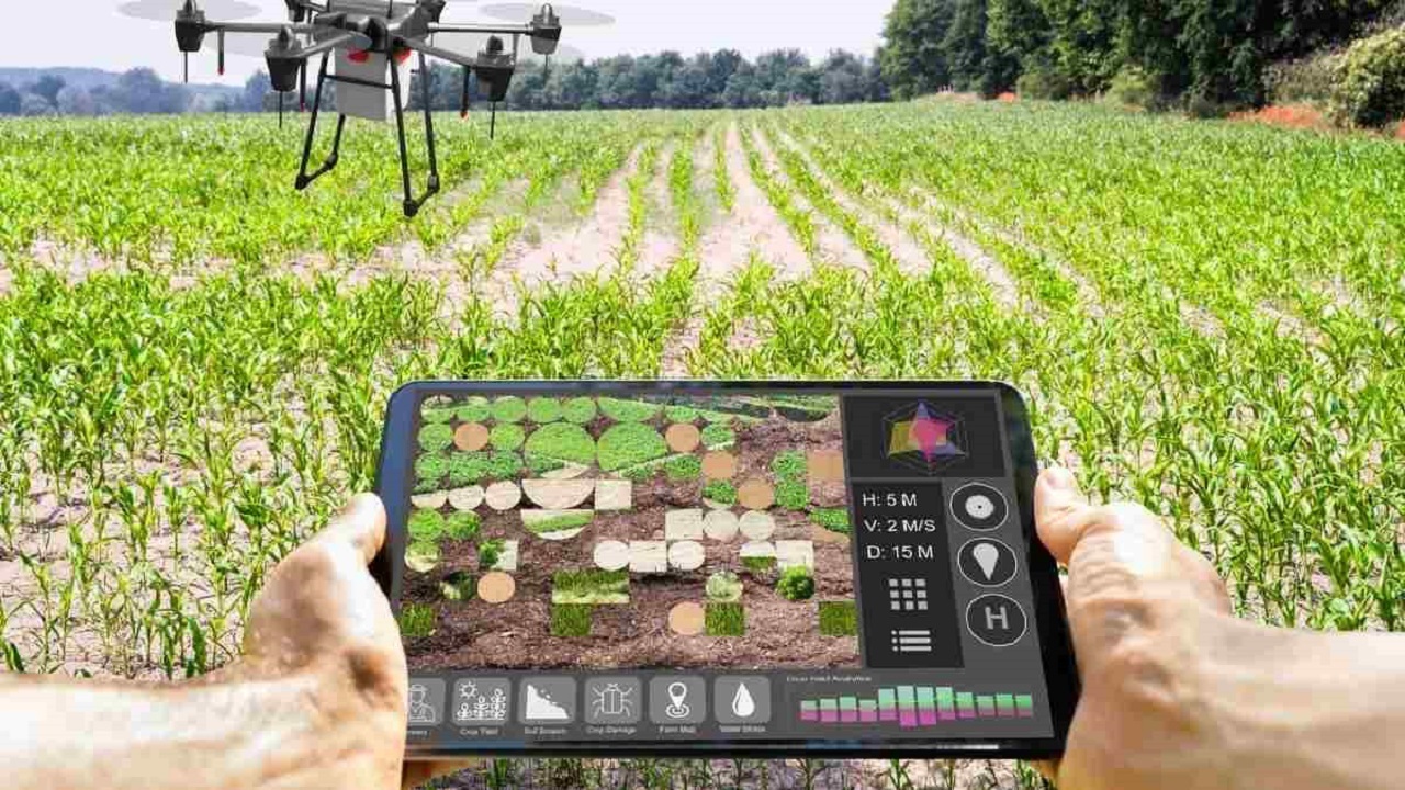 ارزیابی مستمر محصولات راهبردی کشاورزی از طریق داده‌های ماهواره‌ای