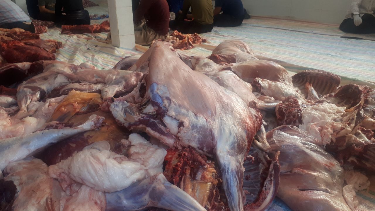 توزیع ۸ تن گوشت قرمز تنظیم بازار در هرسین/دستگیری سه شکارچی متخلف در صحنه و روانسر