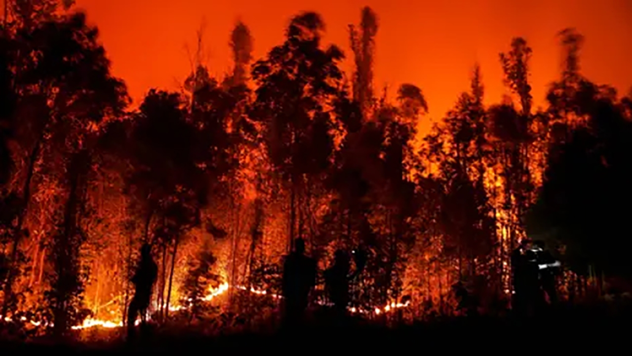 آتش سوزی گسترده در شیلی + فیلم