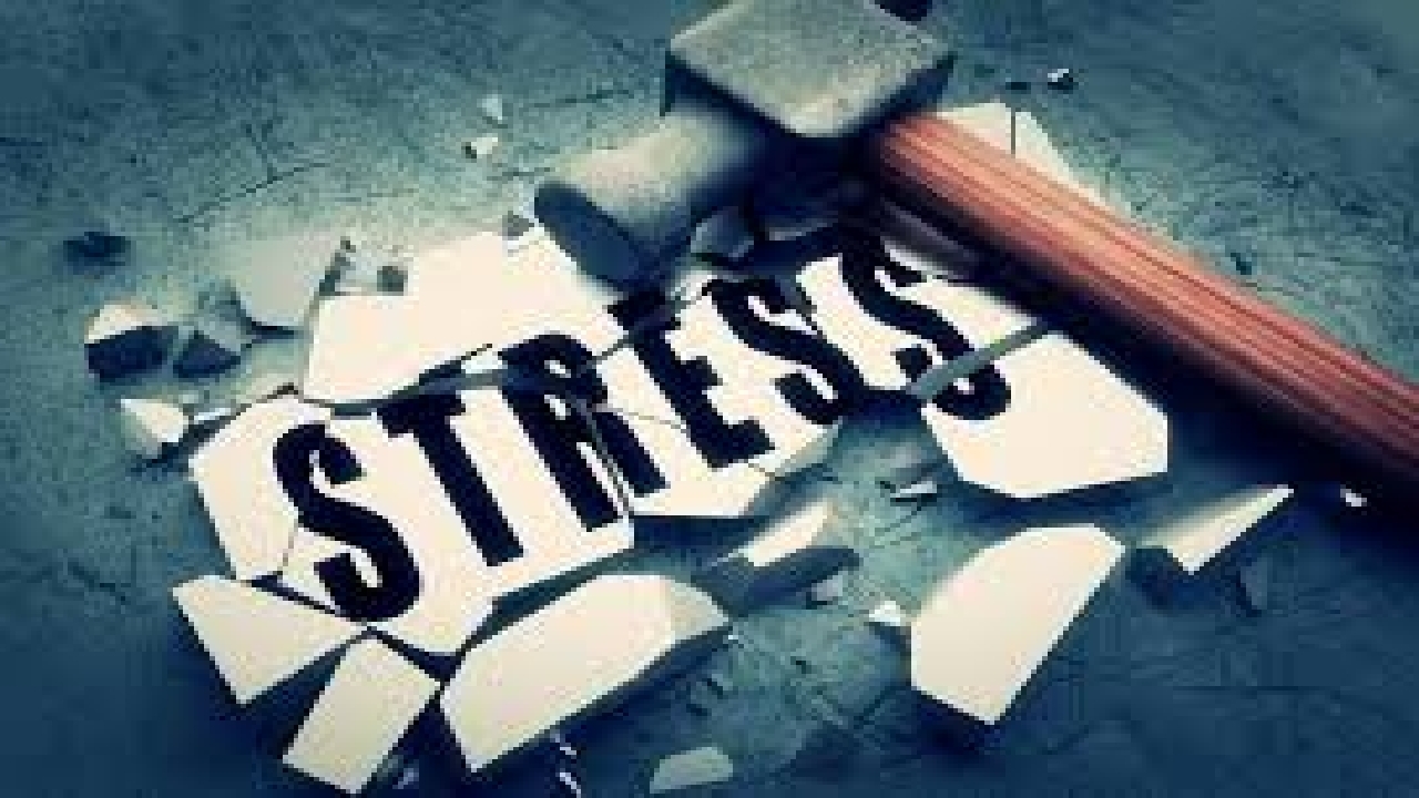 تاثیرات مخرب استرس بر بدن انسان