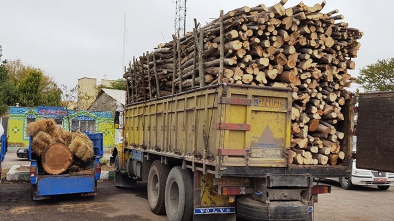 کشف ۱۴۰ اصله چوب‌آلات قاچاق جنگلی در اردبیل