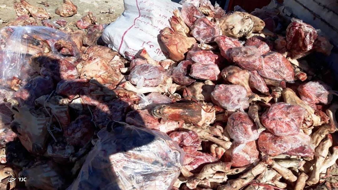 بیش از ۲۱ تن گوشت در مهاباد از چرخه مصرف خارج شد