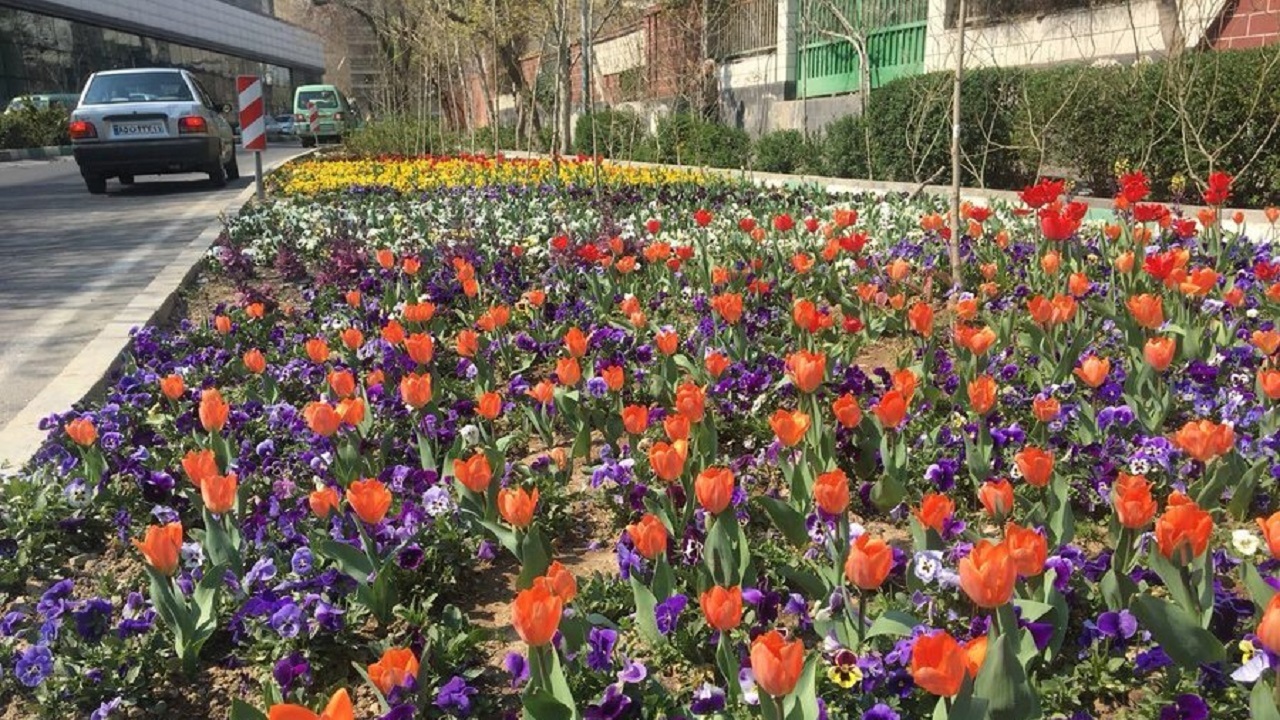 ایجاد 1000 فرش گل و کاشت لاله در پایتخت