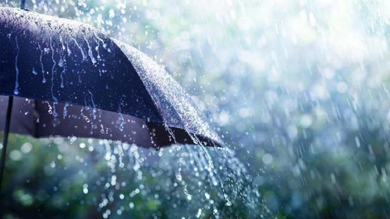 برای روزهای بارانی چتر خوب چی بخریم؟+لیست قیمت