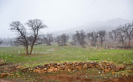 روستای دیوزناو؛