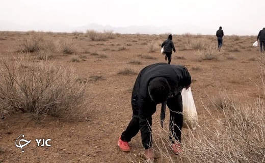 اجرای طرح ملی جنگلانه در بافق +تصویر
