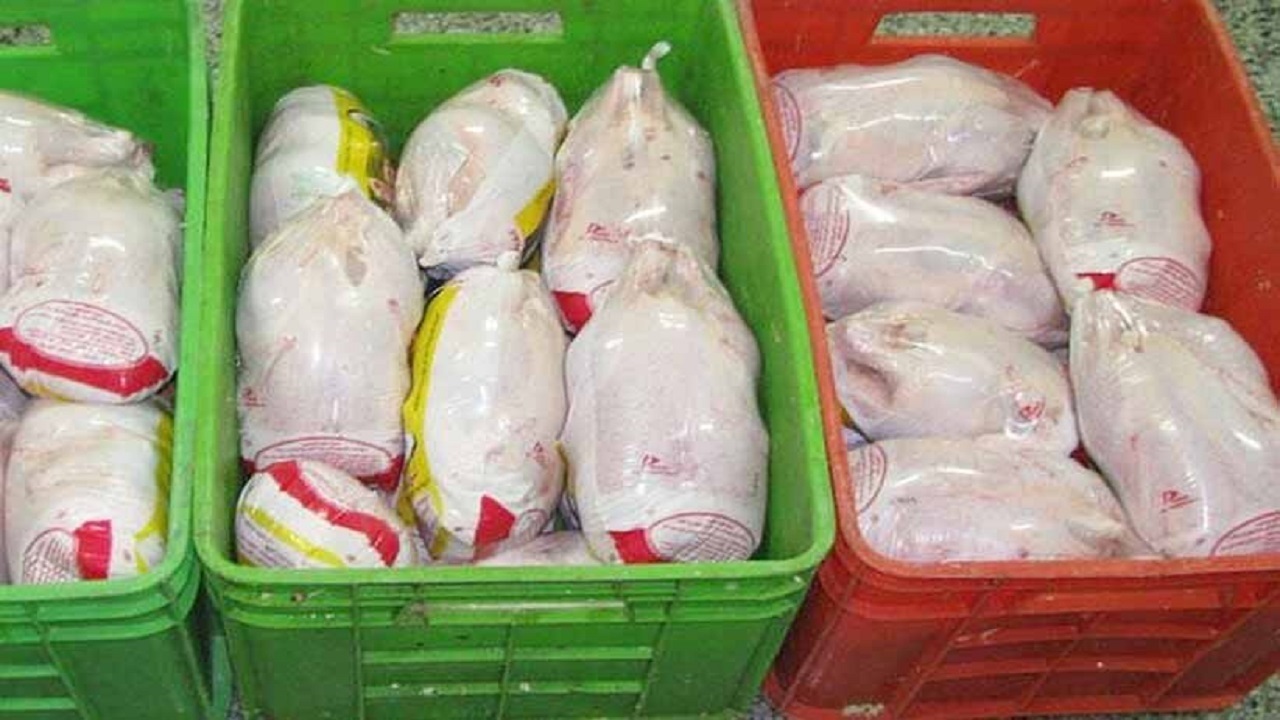 ذخیره ۴۶۰۰ تنی مرغ در مازندران