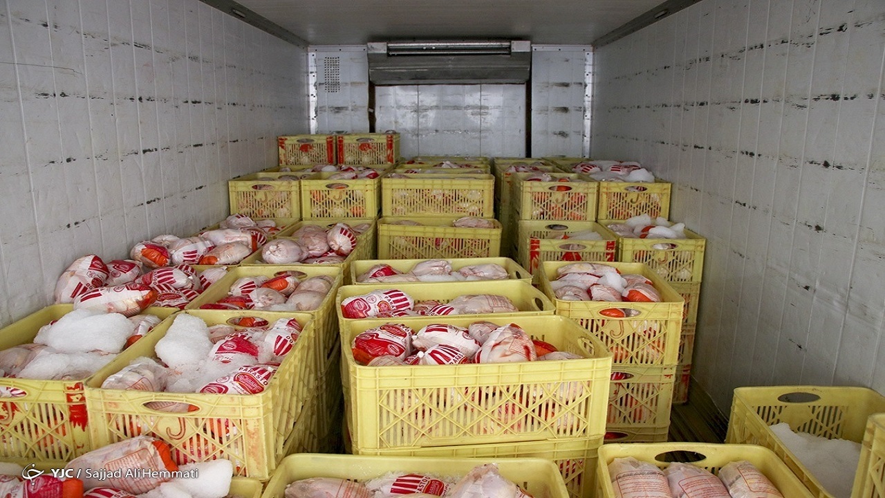 روزانه بیش از ۷ هزار تن مرغ در سطح کشور عرضه می‌شود