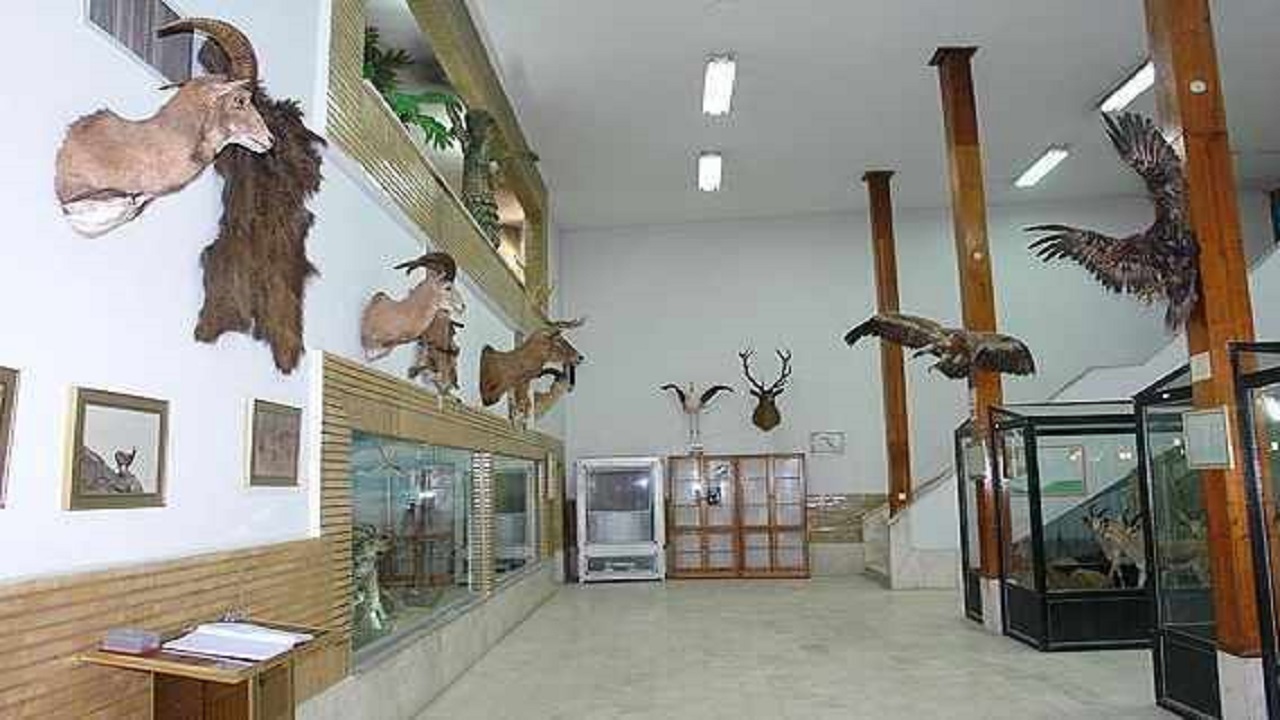 بازدید از موزه تاریخ طبیعی زنجان  رایگان شد