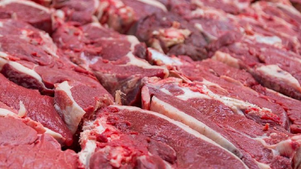 توزیع گوشت گوساله در بهبهان از فردا