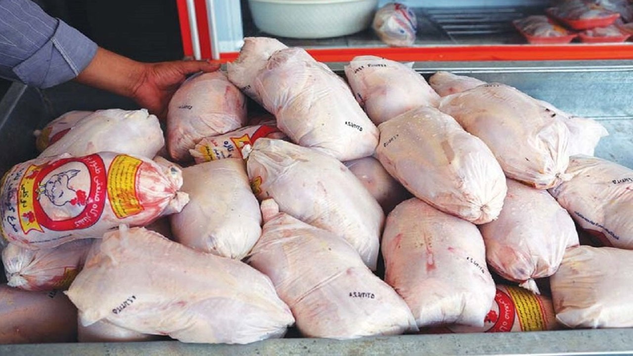معنی رنگ بسته‌بندی مرغ‌ها / مرغ سنگین وزن بهتر است یا سبک؟