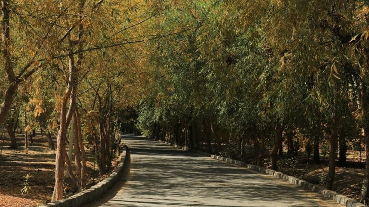 فضای سبز اصفهان با کم آبی، آب رفته
