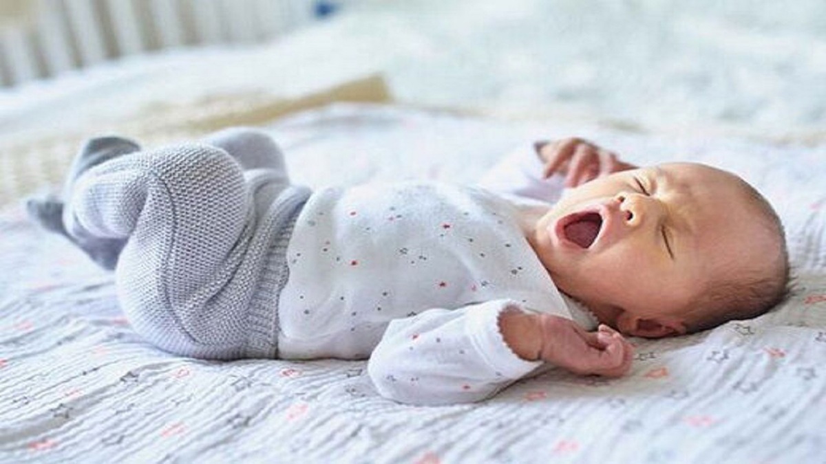 ساخت خانه های ضد سیل + فیلم