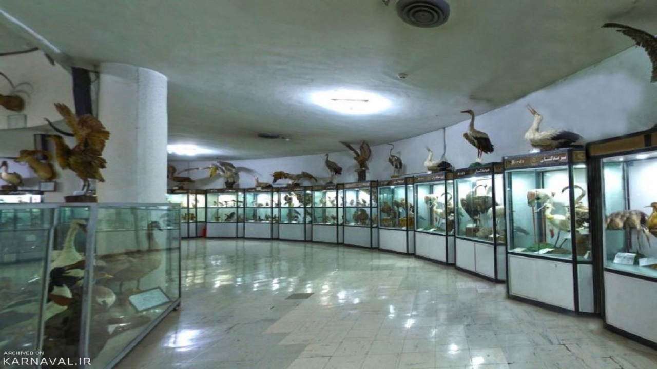بررسی زیر ساخت‌های راه اندازی موزه تاریخ طبیعی در بام ایران