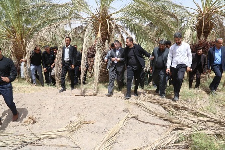 بازدیدوزیر جهاد از نرماشیر