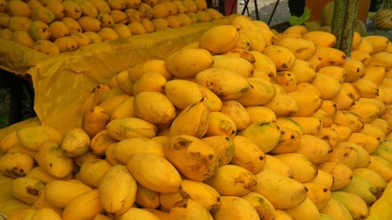 موافقت وزارت صمت با افزایش واردات میوه‌های گرمسیری توسط مرزنشینان