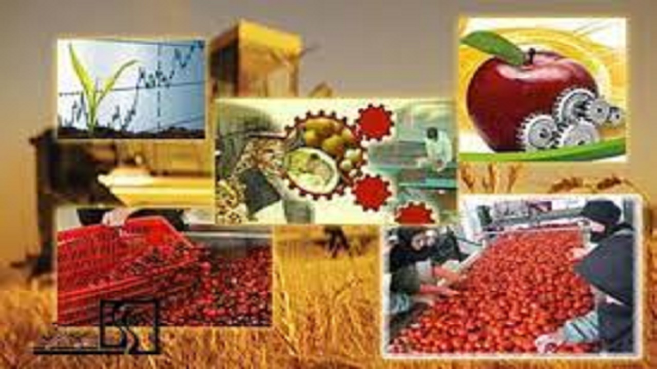 افزایش ۱۰۰ درصدی سرمایه‌گذاری در حوزه تولیدات بخش کشاورزی و صنعت