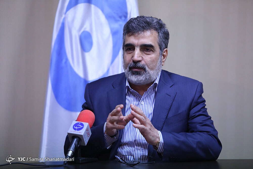 کمالوندی: خواسته‌های آژانس از ایران، زیاده‌خواهی است