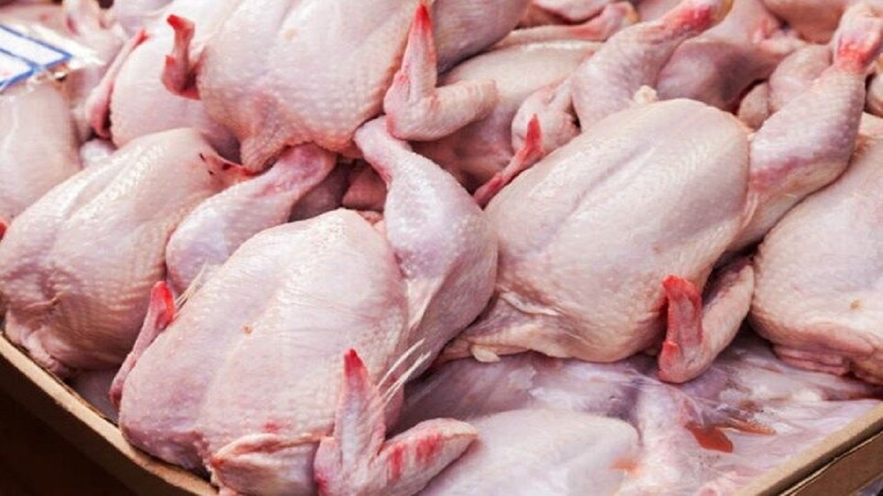 کشف بیش از ۳ هزار کیلوگرم مرغ احتکاری درکرج