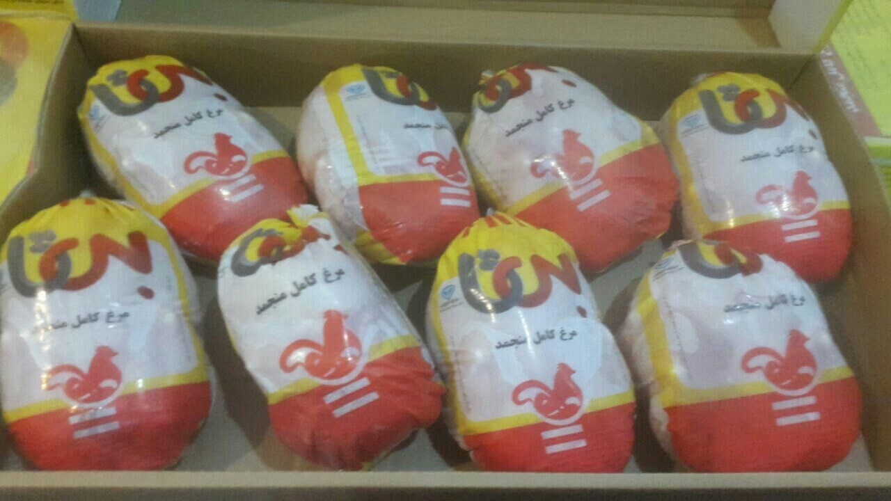 بیش از ۵۰۰ تن گوشت مرغ منجمد در سیستان و بلوچستان توزیع شد