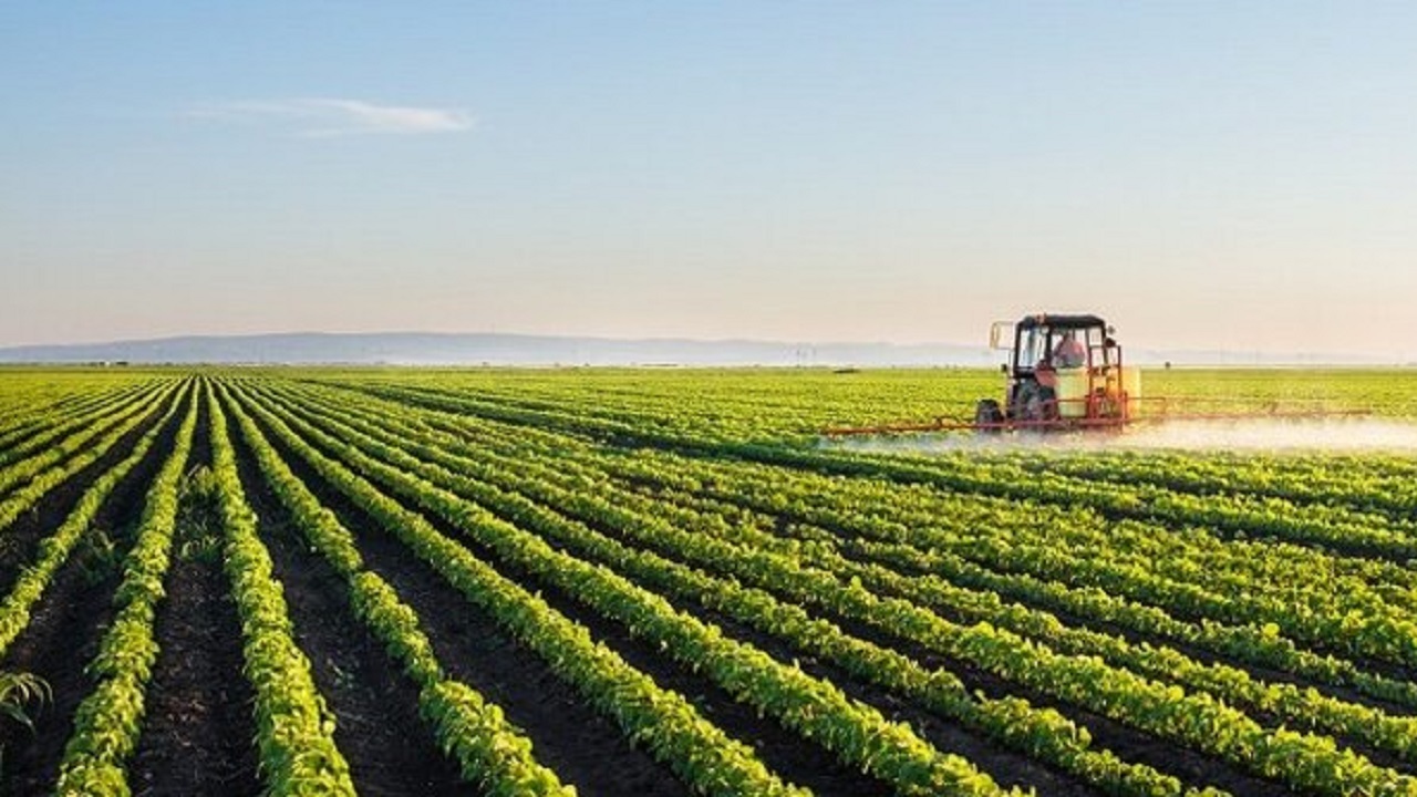 بهره وری ۲۶ محصول راهبردی  کشاورزی استان مرکزی با کمک بسیج