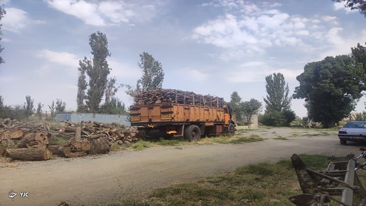 ۱۰۰ تن چوب قاچاق در مهاباد ضبط شد