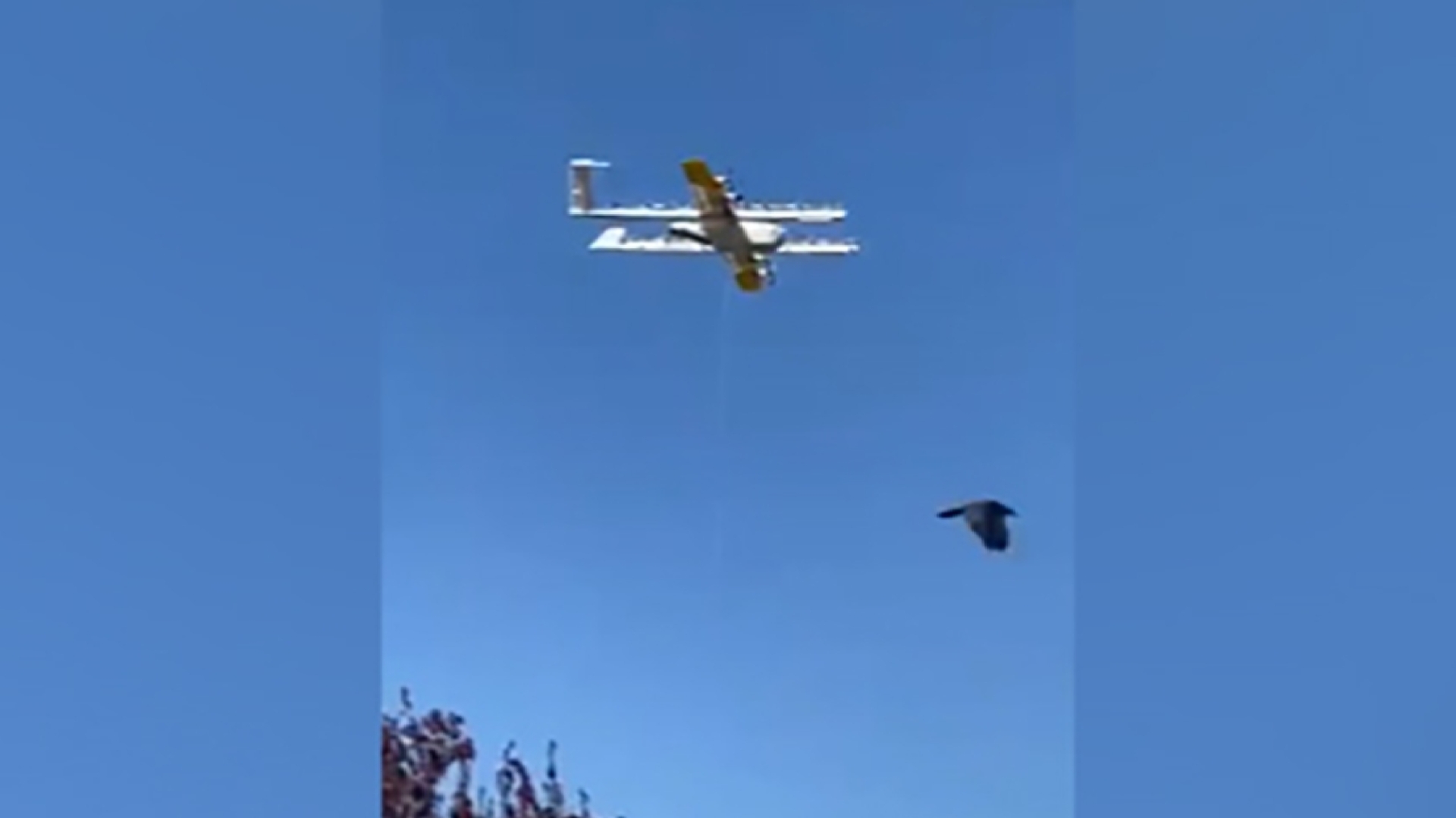 حمله پرنده به یک پهپاد حمل غذا! + فیلم