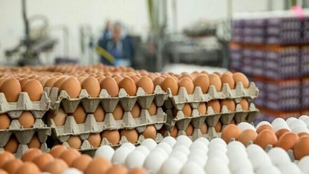 ناکامی سودجویان از قاچاق ۳ تن تخم مرغ