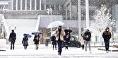باشگاه خبرنگاران -بارش برف ۲ متری در ژاپن+ تصاویر