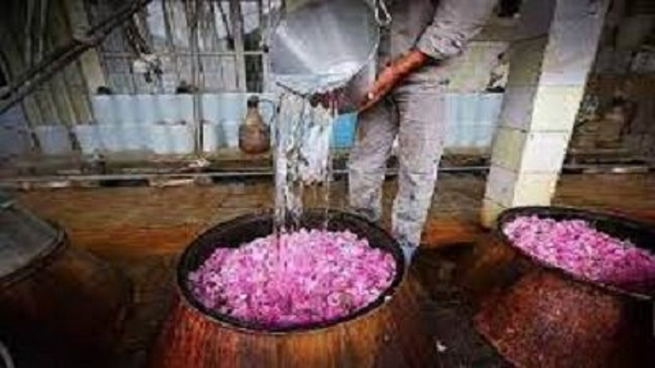 تفتان قطب تولید گلاب و عرقیات گیاهی سیستان و بلوچستان می‌شود