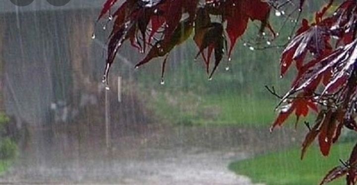 ثبت بیشترین بارش در گتوند