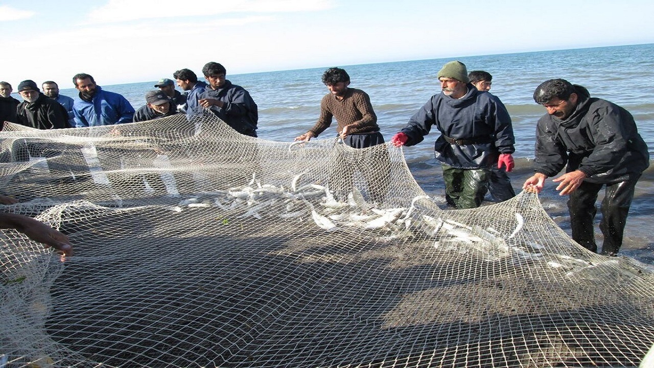 افزایش ۶۹ درصدی صید ماهیان استخوانی در گیلان