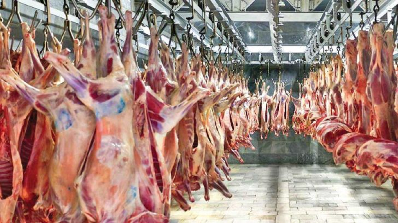 گوشت گرم گوسفندی تنظیم بازار در استان توزیع می‌شود