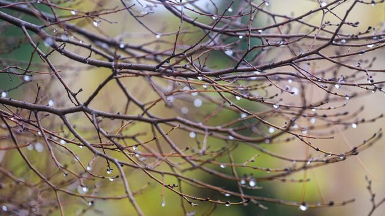 بارش باران بهاری در روستا‌های باغملک+ فیلم