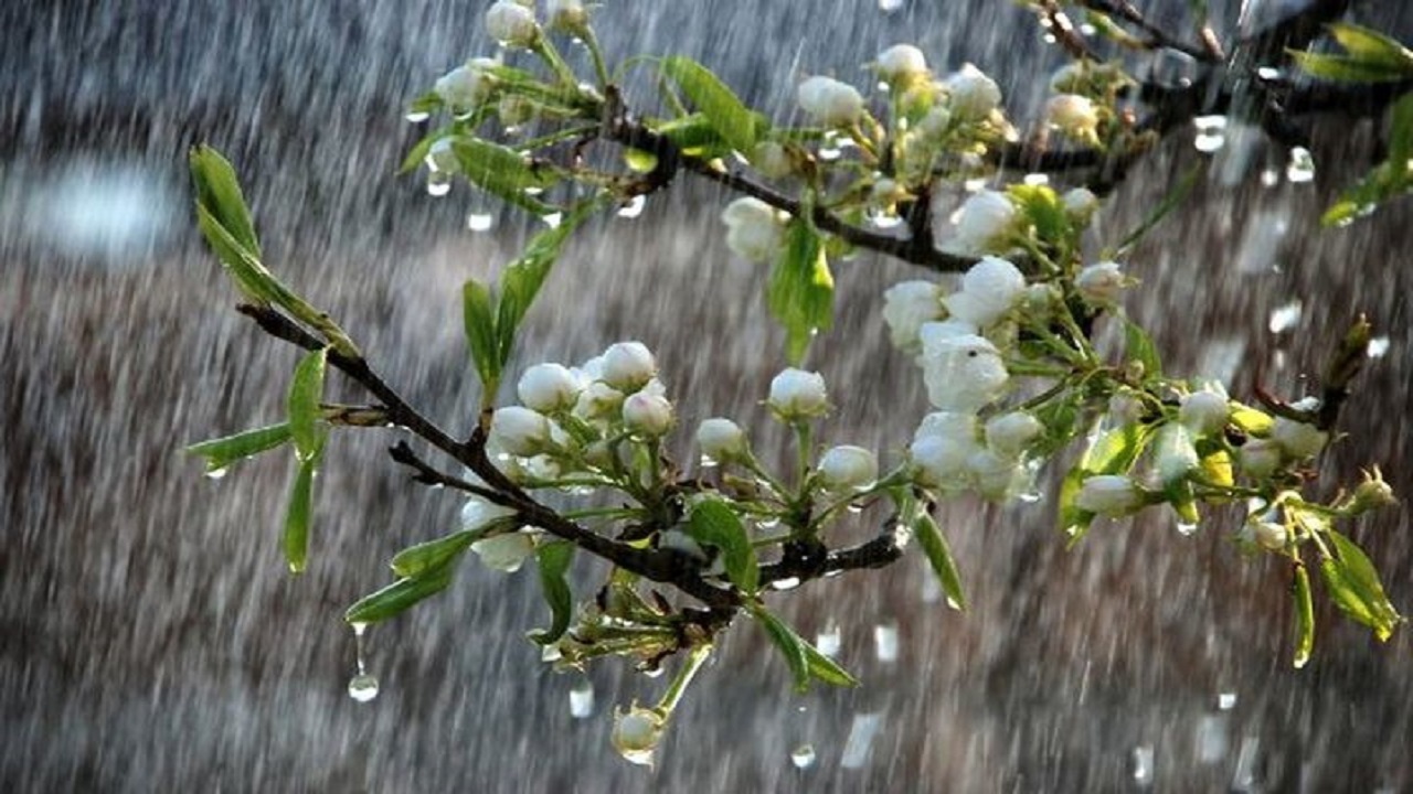 بارش‌ ۱۷.۱ میلمتری باران در کرمانشاه