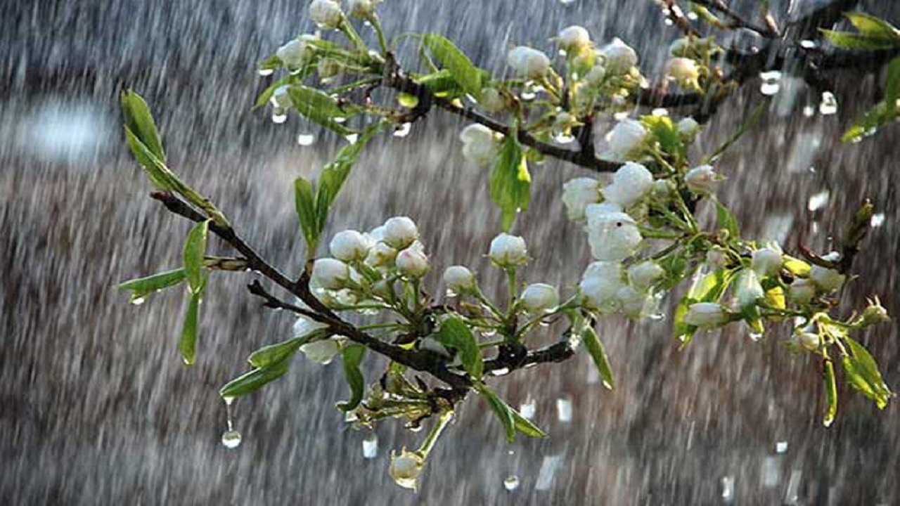 بارش باران توام با وزش تندبادهای موقتی در استان آذربایجان غربی